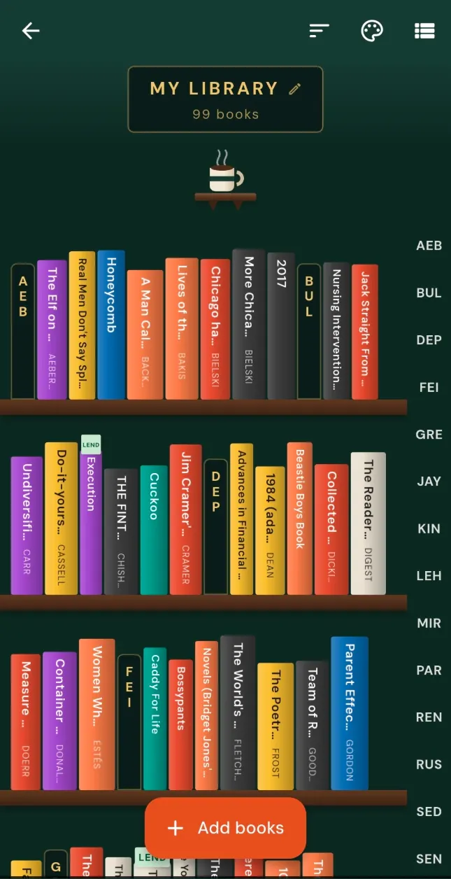 The library: book covers in a row on a shelf.